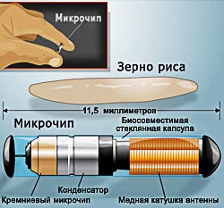 Microchip under the skin